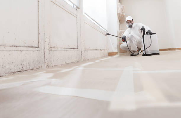 24/7 Emergency Black Mold Remediation experts in La Plata, MD